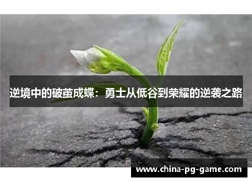 逆境中的破茧成蝶：勇士从低谷到荣耀的逆袭之路