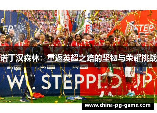 诺丁汉森林：重返英超之路的坚韧与荣耀挑战